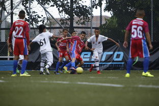 开云电竞-中国足球青训体系进入成熟阶段,2021中国足球青训现状